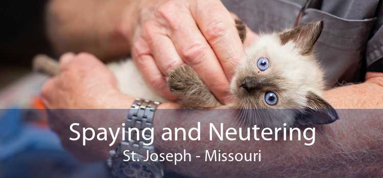 Spaying and Neutering St. Joseph - Missouri