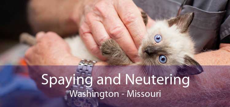 Spaying and Neutering Washington - Missouri