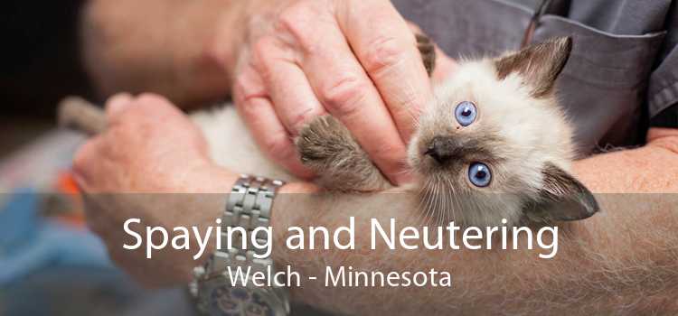 Spaying and Neutering Welch - Minnesota