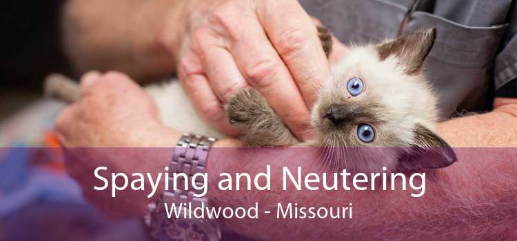 Spaying and Neutering Wildwood - Missouri