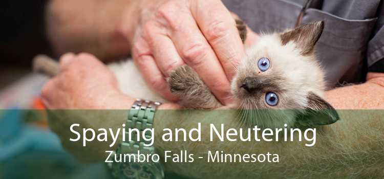 Spaying and Neutering Zumbro Falls - Minnesota