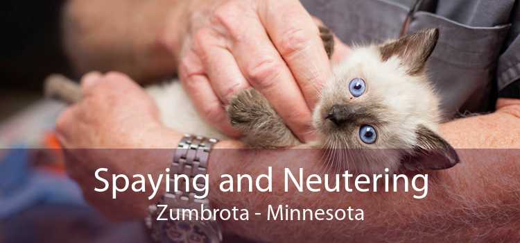 Spaying and Neutering Zumbrota - Minnesota
