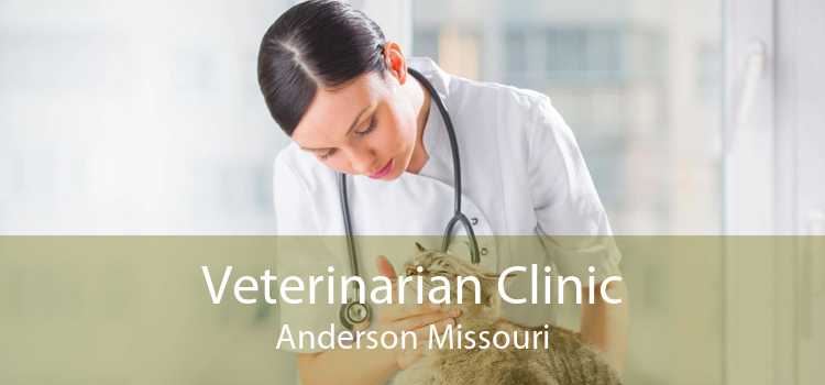 Veterinarian Clinic Anderson Missouri