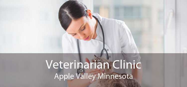 Veterinarian Clinic Apple Valley Minnesota