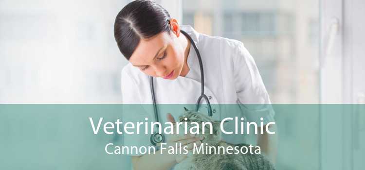 Veterinarian Clinic Cannon Falls Minnesota