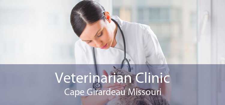 Veterinarian Clinic Cape Girardeau Missouri
