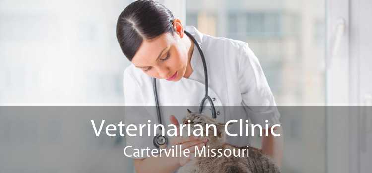 Veterinarian Clinic Carterville Missouri