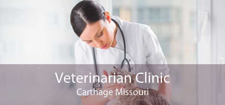 Veterinarian Clinic Carthage Missouri