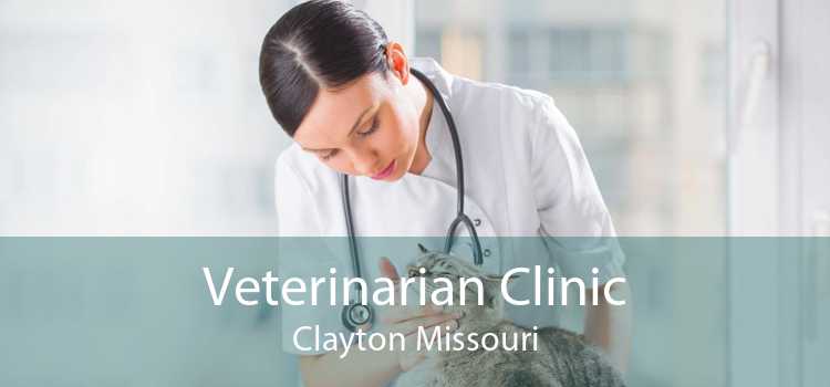 Veterinarian Clinic Clayton Missouri
