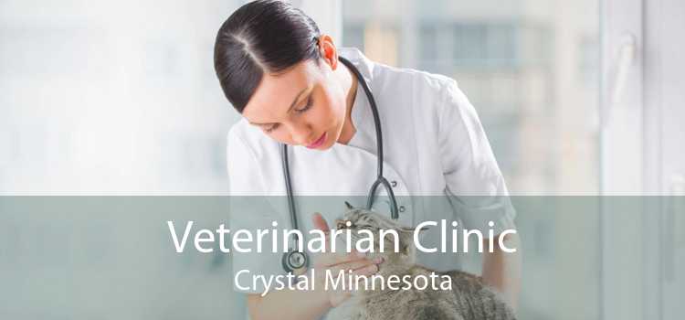 Veterinarian Clinic Crystal Minnesota