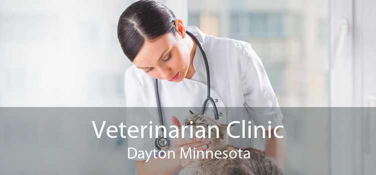 Veterinarian Clinic Dayton Minnesota
