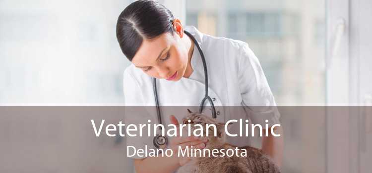 Veterinarian Clinic Delano Minnesota