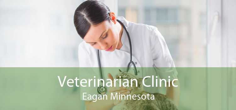 Veterinarian Clinic Eagan Minnesota