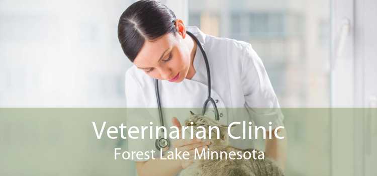 Veterinarian Clinic Forest Lake Minnesota