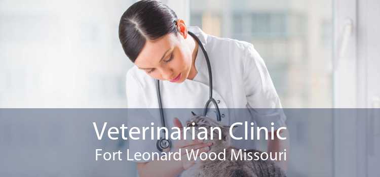 Veterinarian Clinic Fort Leonard Wood Missouri