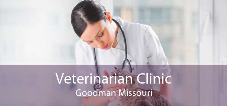Veterinarian Clinic Goodman Missouri