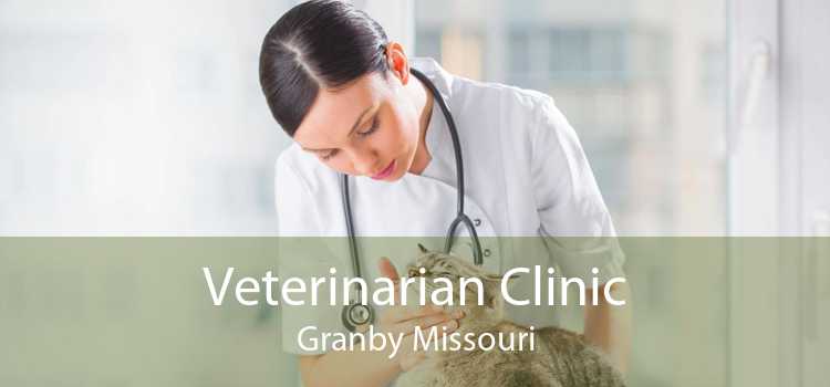 Veterinarian Clinic Granby Missouri