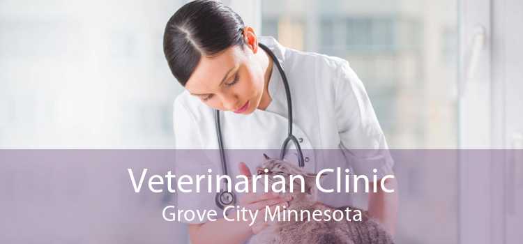 Veterinarian Clinic Grove City Minnesota