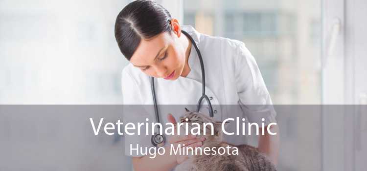 Veterinarian Clinic Hugo Minnesota