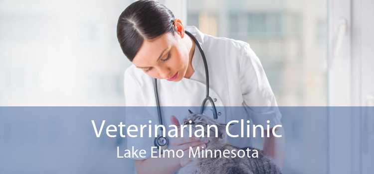 Veterinarian Clinic Lake Elmo Minnesota