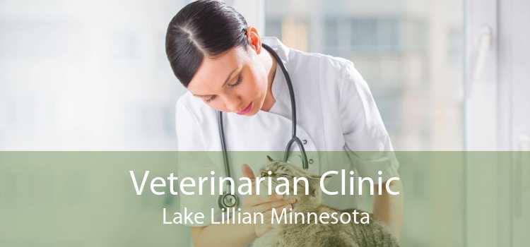 Veterinarian Clinic Lake Lillian Minnesota