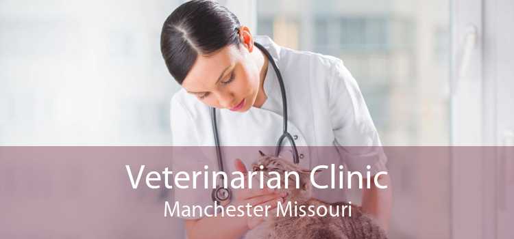 Veterinarian Clinic Manchester Missouri