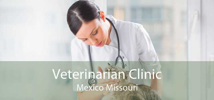 Veterinarian Clinic Mexico Missouri
