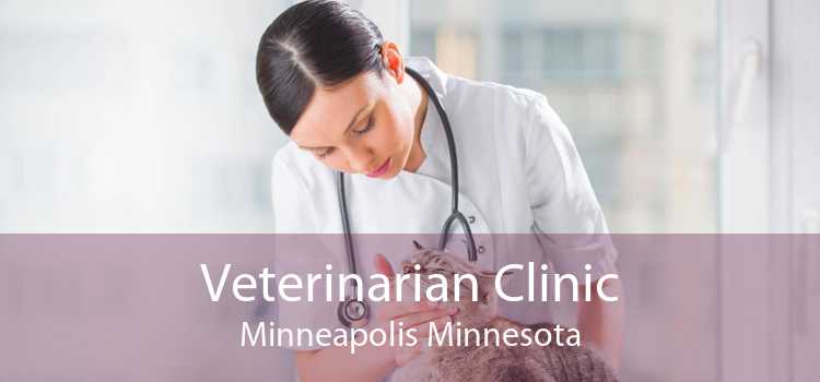 Veterinarian Clinic Minneapolis Minnesota
