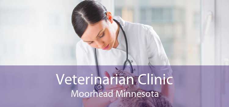 Veterinarian Clinic Moorhead Minnesota