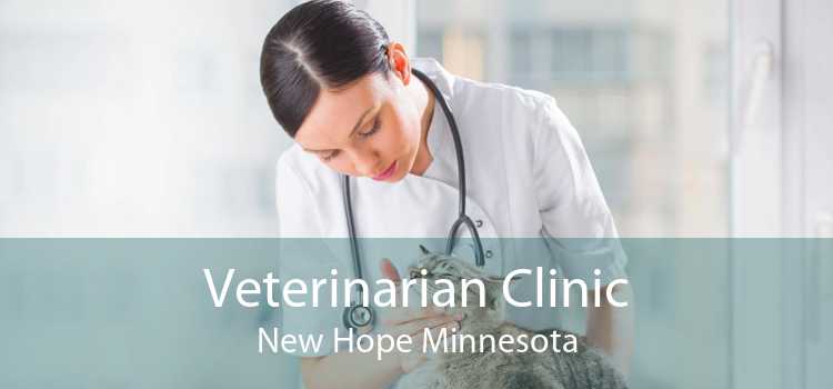 Veterinarian Clinic New Hope Minnesota