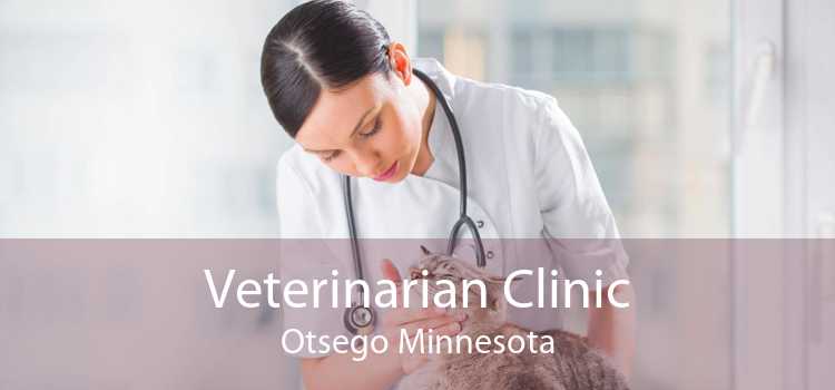 Veterinarian Clinic Otsego Minnesota