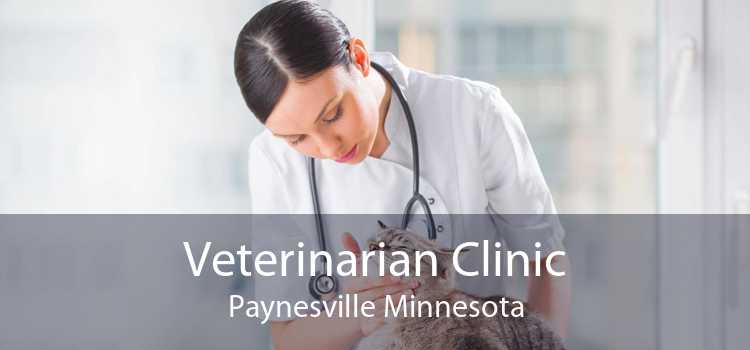 Veterinarian Clinic Paynesville Minnesota