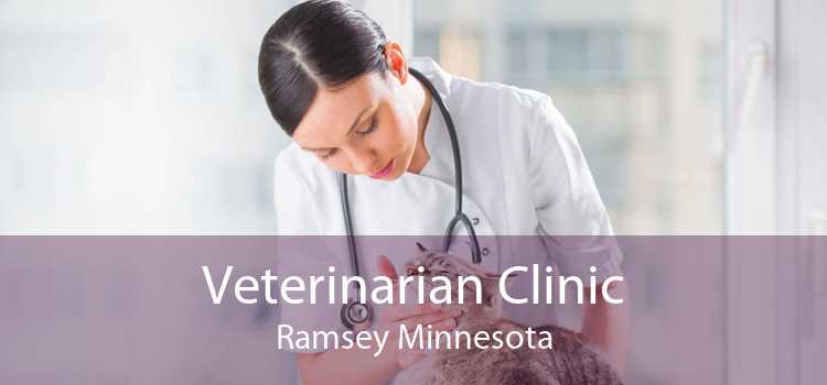 Veterinarian Clinic Ramsey Minnesota