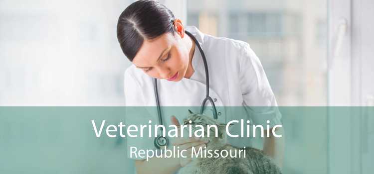 Veterinarian Clinic Republic Missouri