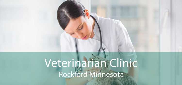Veterinarian Clinic Rockford Minnesota