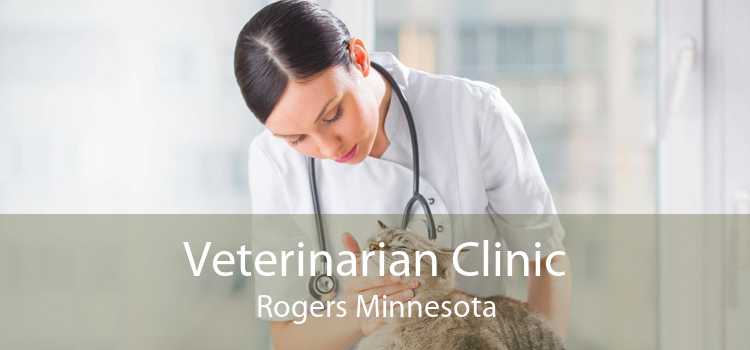 Veterinarian Clinic Rogers Minnesota