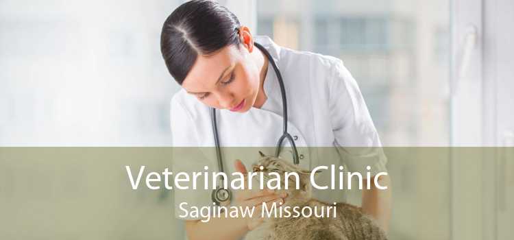 Veterinarian Clinic Saginaw Missouri