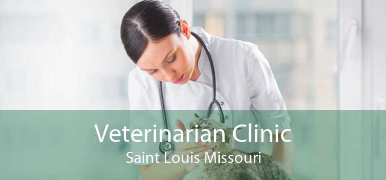 Veterinarian Clinic Saint Louis Missouri