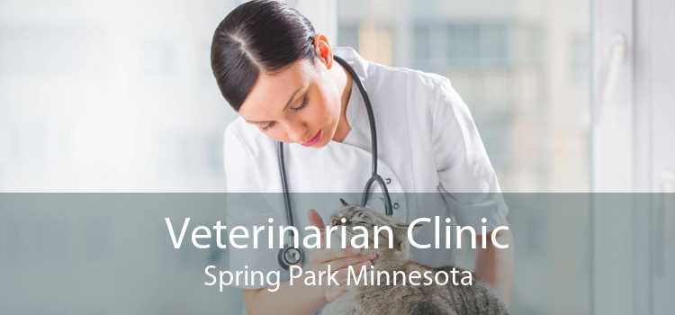 Veterinarian Clinic Spring Park Minnesota