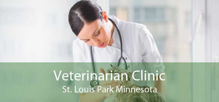 Veterinarian Clinic St. Louis Park Minnesota