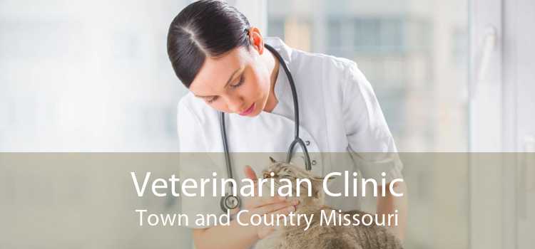 Veterinarian Clinic Town and Country Missouri