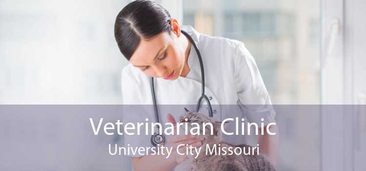 Veterinarian Clinic University City Missouri