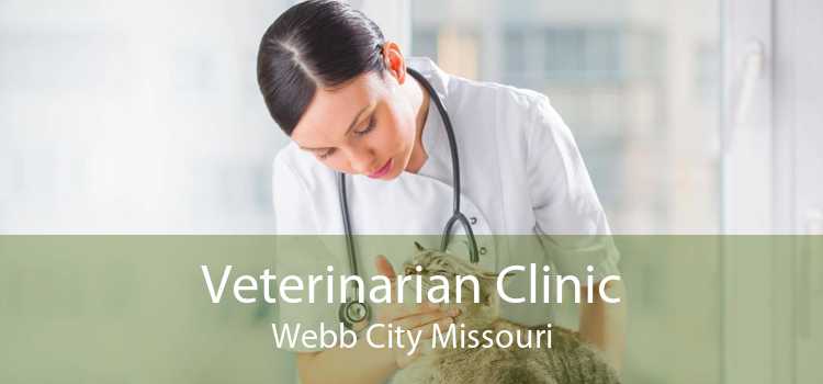 Veterinarian Clinic Webb City Missouri